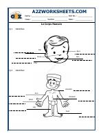 French Worksheet - Le Corps Humain