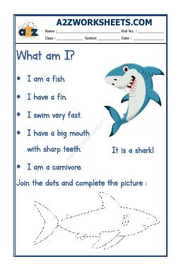 Flash Card-Shark