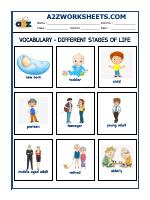 Vocabulary Worksheets - Different Stages Of Life