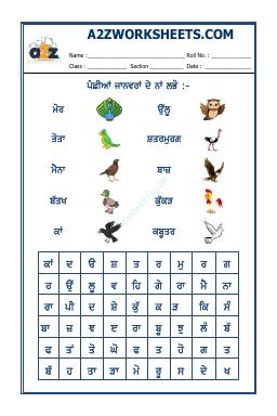 Punjabi Word Search-Birds Name