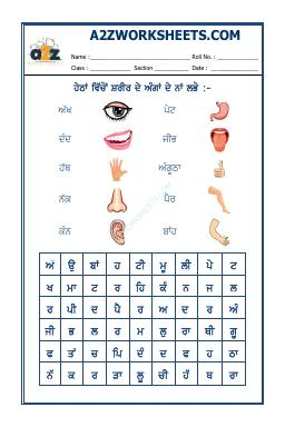 Punjabi Word Search - Parts Of Body