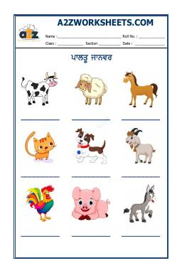 Punjabi Worksheet- Pet Animals Name