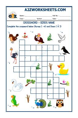 Cross Word -Birds Name
