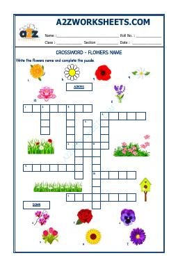Crossword -Flowers Name