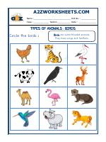 Animal Classification-03