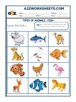 Animal Classification-04