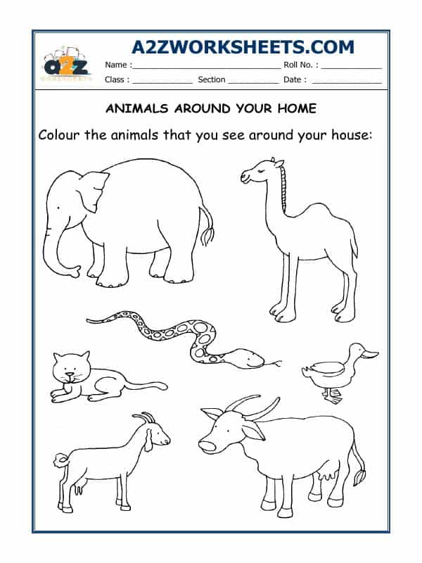 Worksheet-06-Animals Around Your Home
