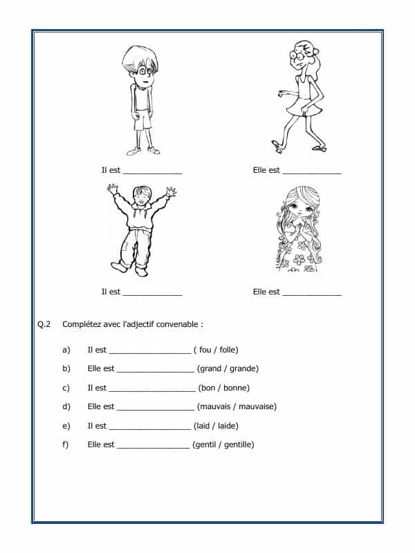 French Worksheet - Les Adjectifs