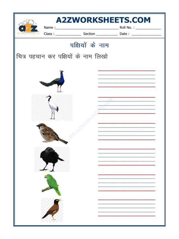 Hindi - Name Of Birds In Hindi (पक्षियों के नाम)