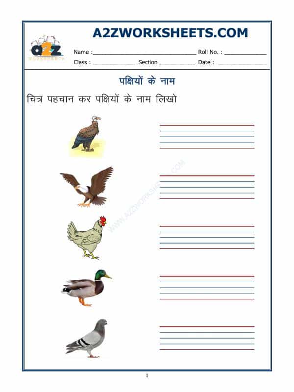Hindi Worksheet - Name Of Birds In Hindi - 02
