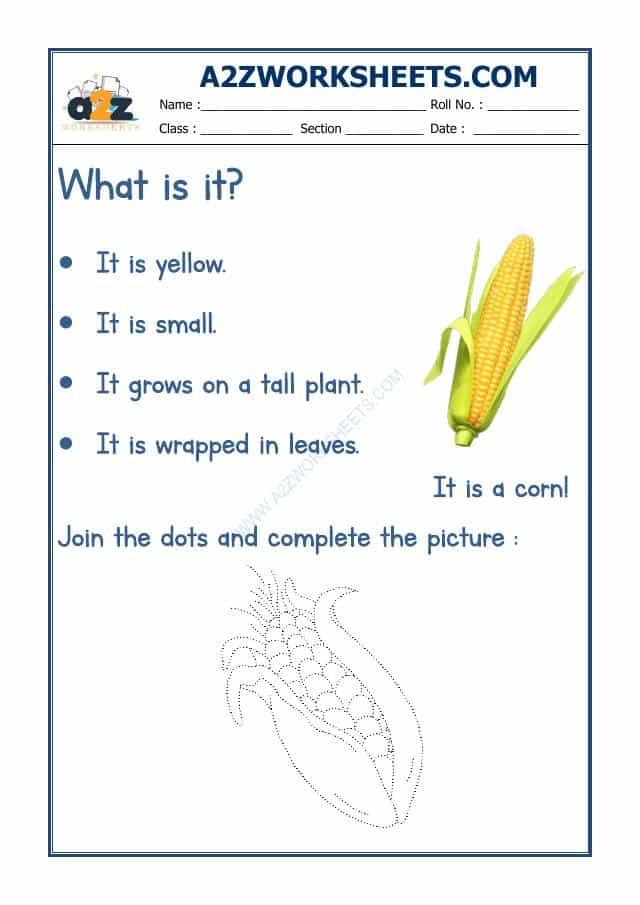 Flash Card - Corn