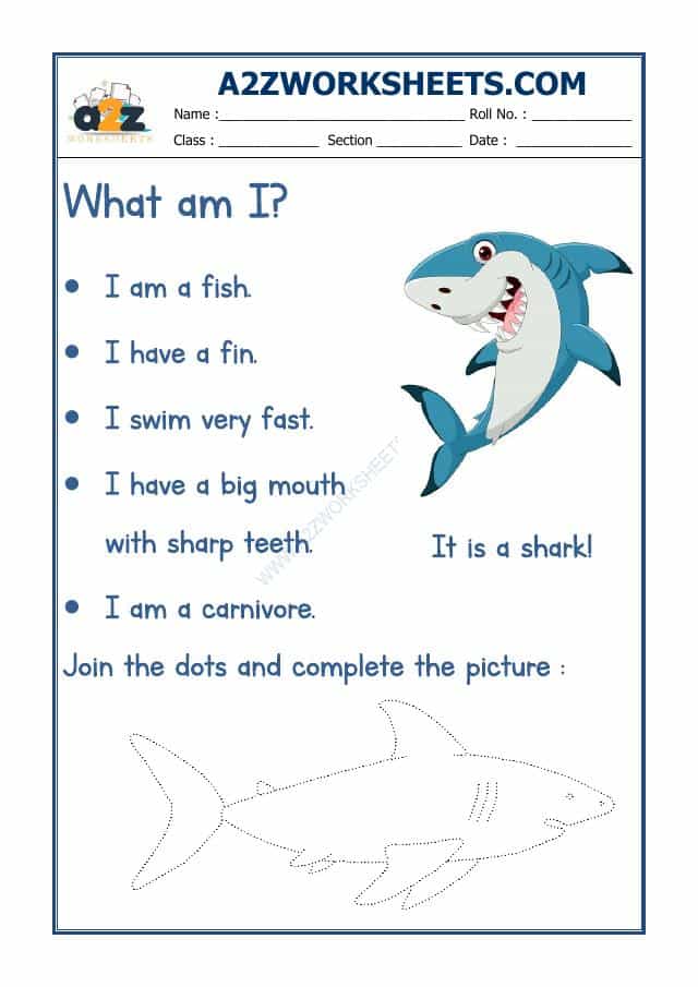 Flash Card-Shark