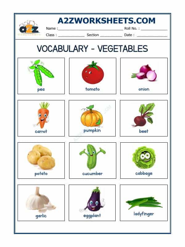 Vocabulary Worksheets-Vegetable