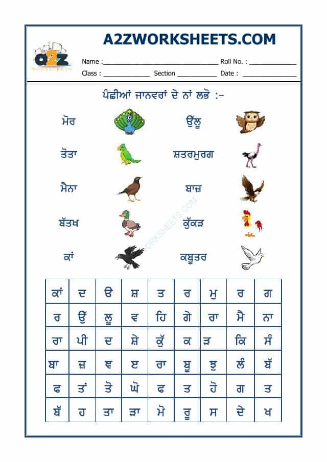 Punjabi Word Search-Birds Name