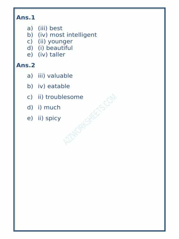 Class-V-English Adjectives Worksheet-13