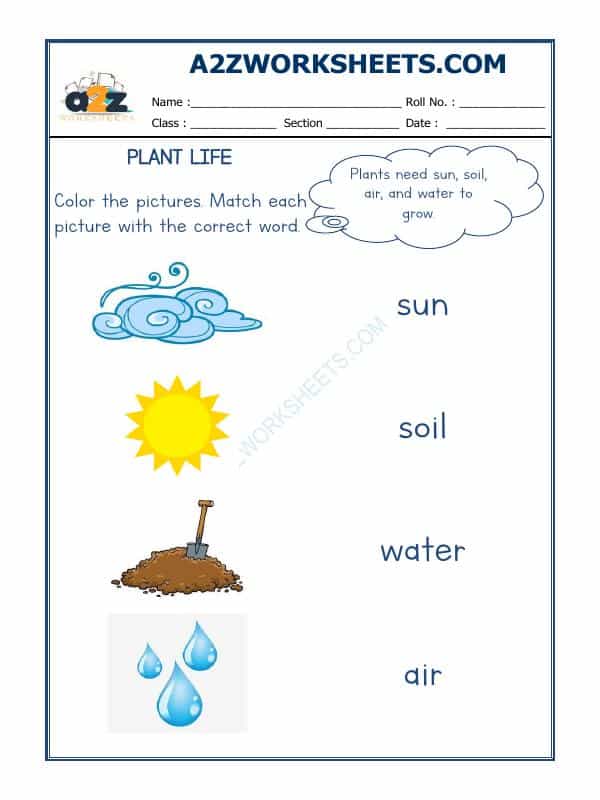 Plants Life-01