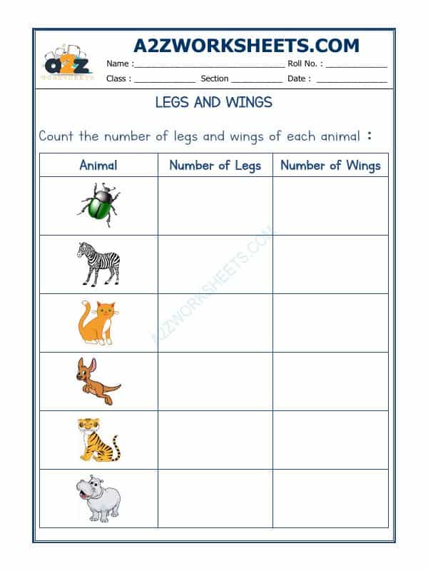 Animal - Legs And Wings-05