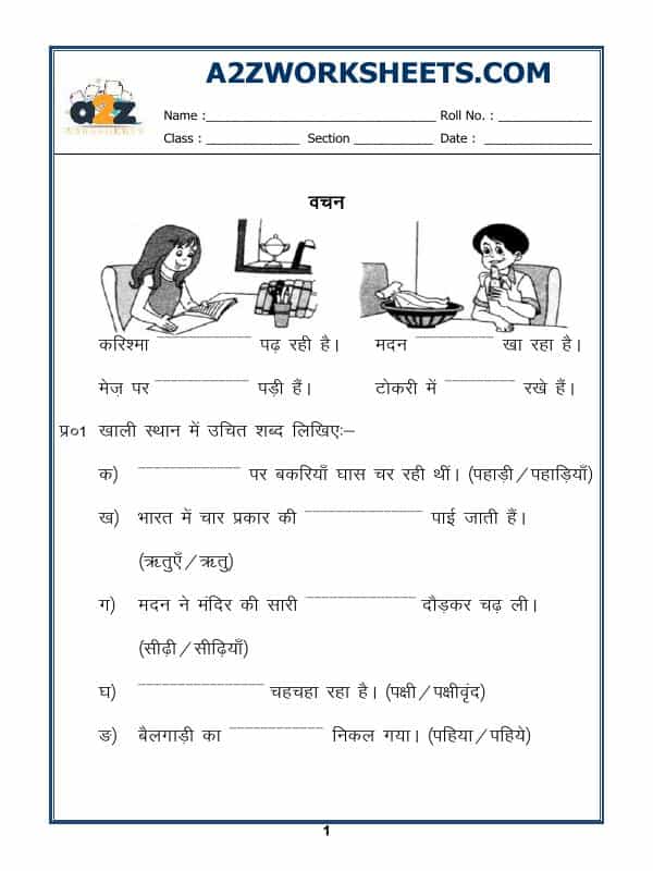Hindi Grammar - Singular Plural In Hindi