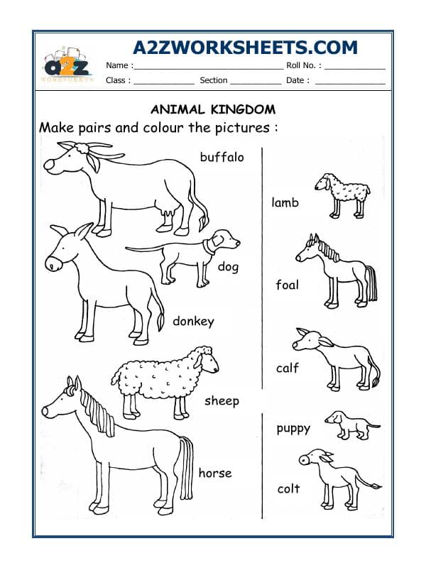 Worksheet-06-Animals And Their Babies