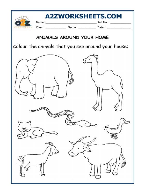 Worksheet-06-Animals Around Your Home