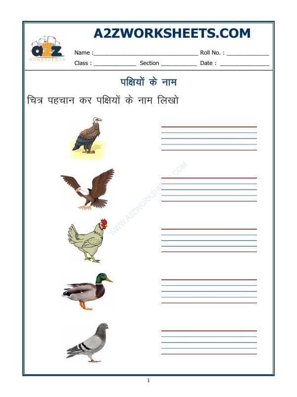 Hindi Worksheet - Name Of Birds In Hindi - 02