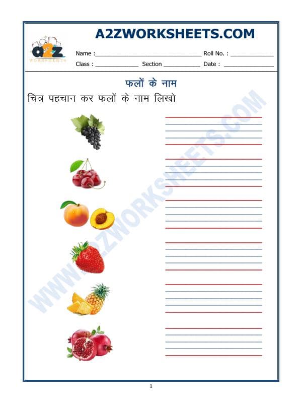 Hindi Worksheet - Name Of Fruits In Hindi - 02