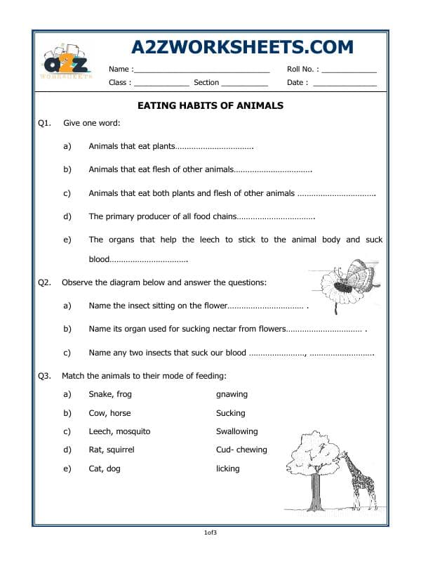 Eating Habits Of Animals