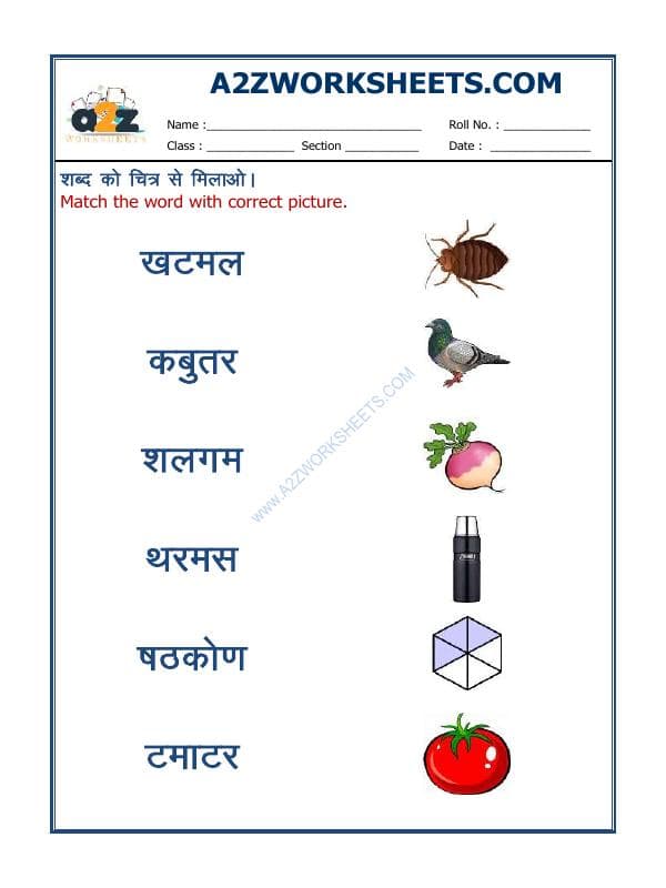 Hindi-Match The Word To Picture-06