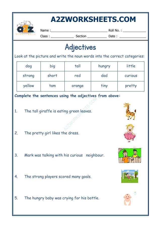 English Adjectives Worksheet-04