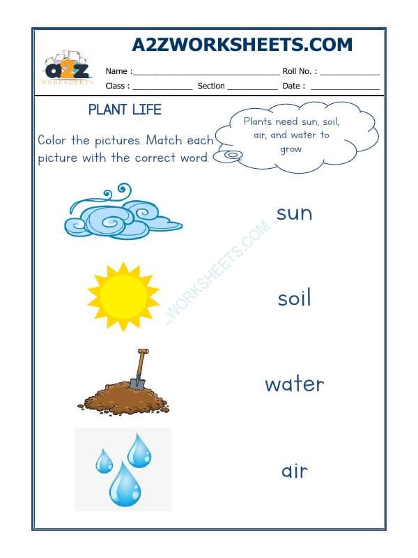 Plants Life-01