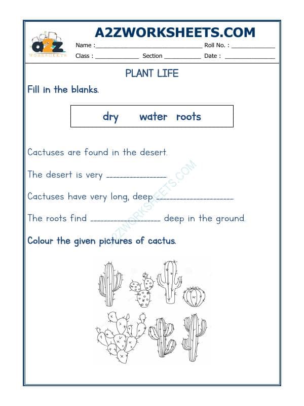 Plants Life-03