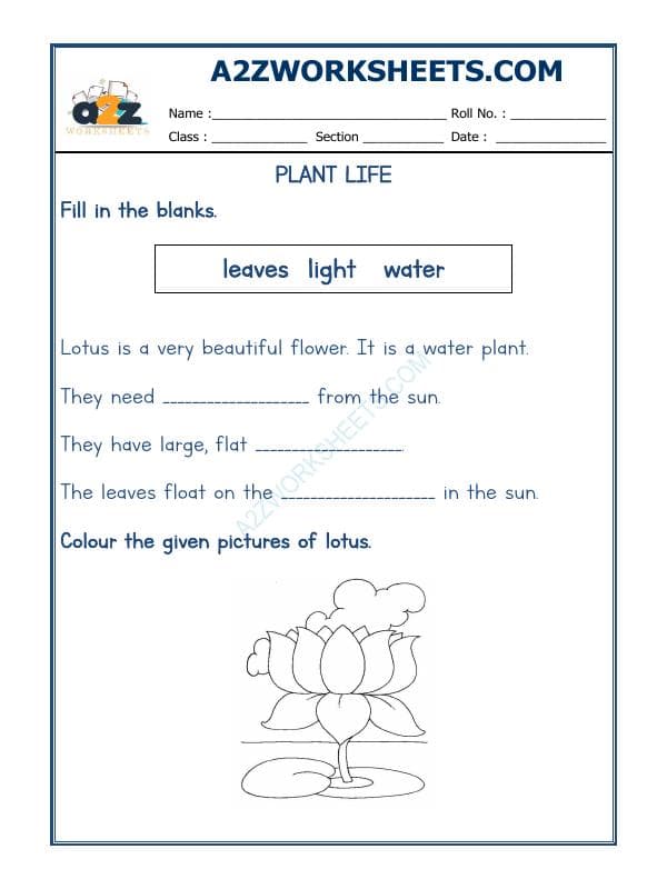 Plants Life-04