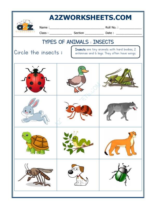 Animal Classification-07